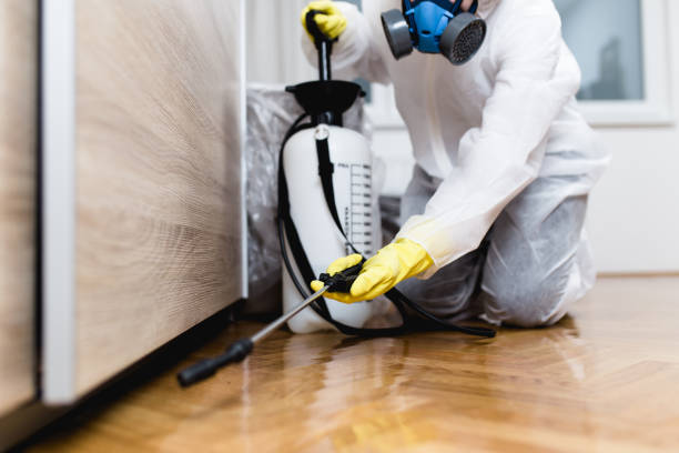 Best Pest Control Near Me  in Gig Harbor, WA