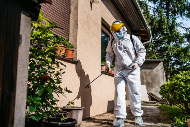  Gig Harbor, WA Pest Control Pros
