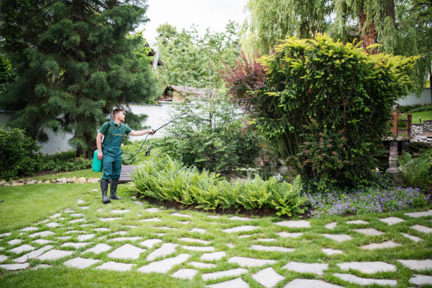 Best Spider Control Near Me  in Gig Harbor, WA