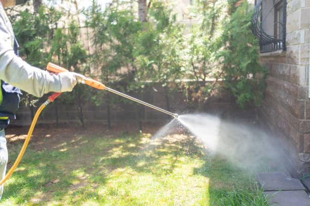 Best Termite Control Services  in Gig Harbor, WA