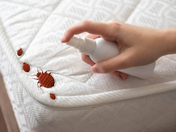 Best Emergency Pest Control  in Gig Harbor, WA