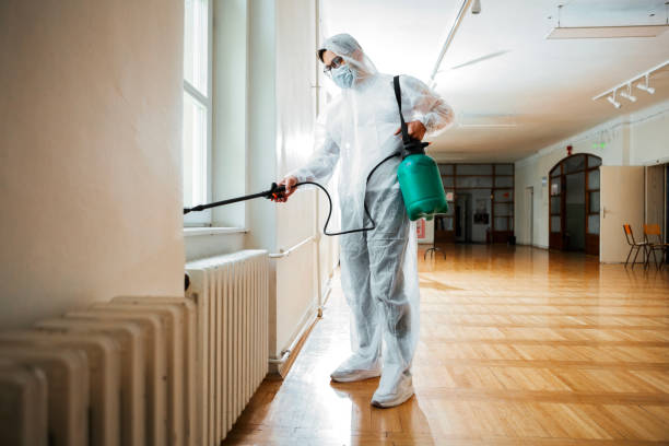 Professional Pest Control in Gig Harbor, WA